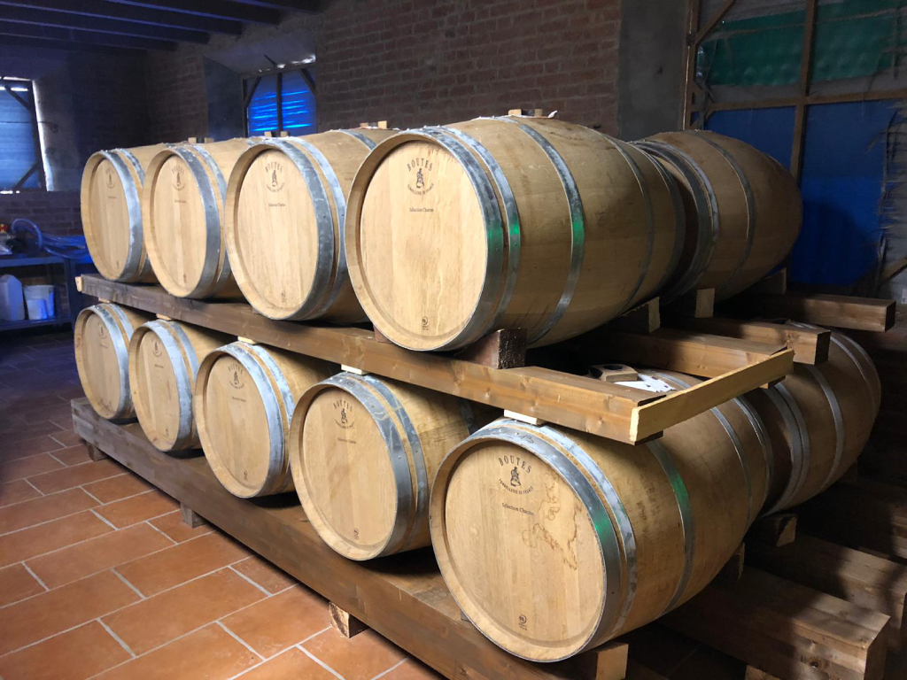 Botti di legno accatastate nella quiete di una cantina